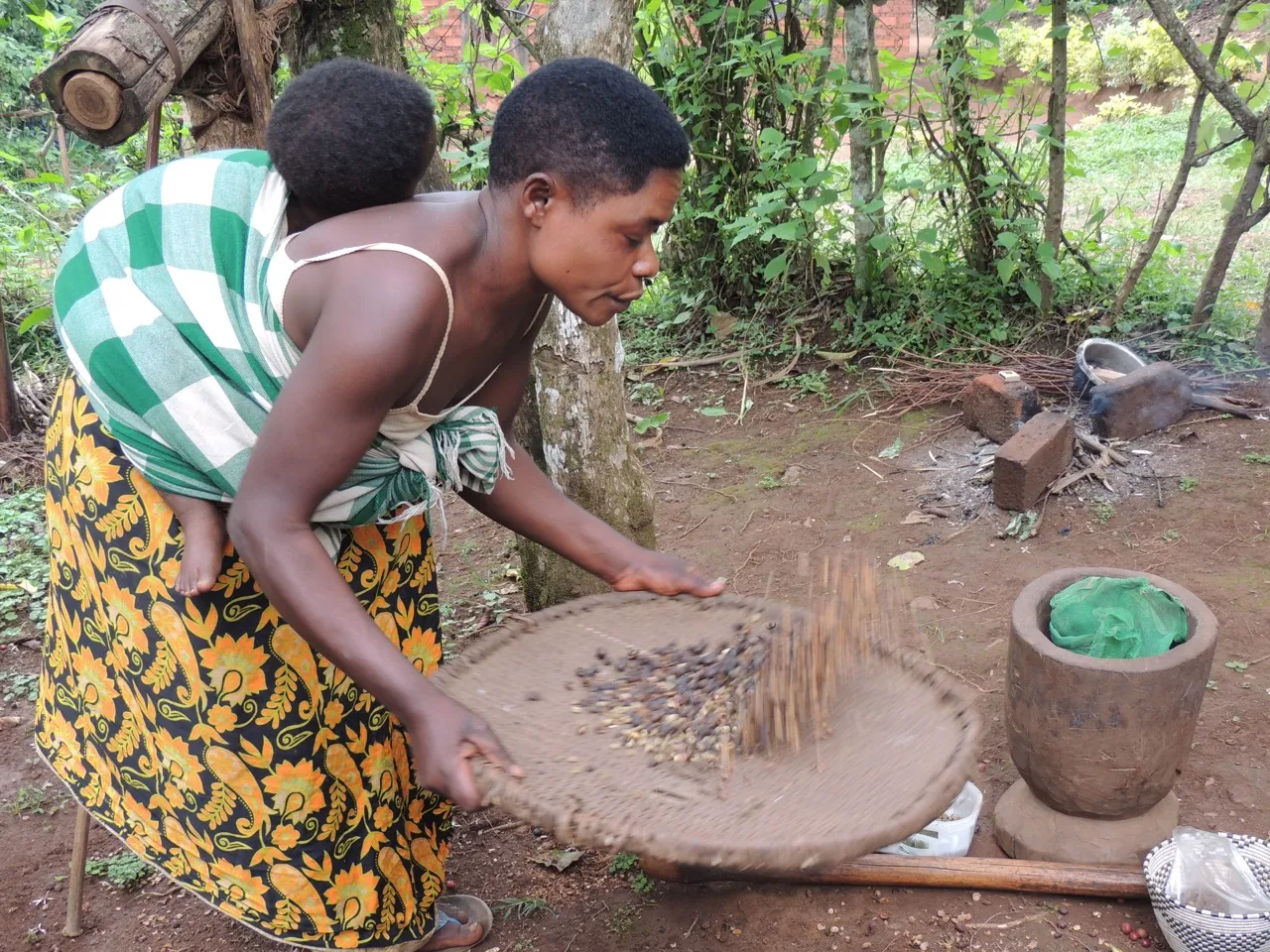 DSCN6146