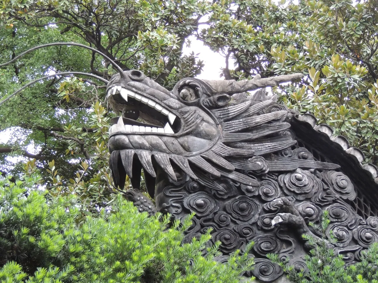 DSCN6721