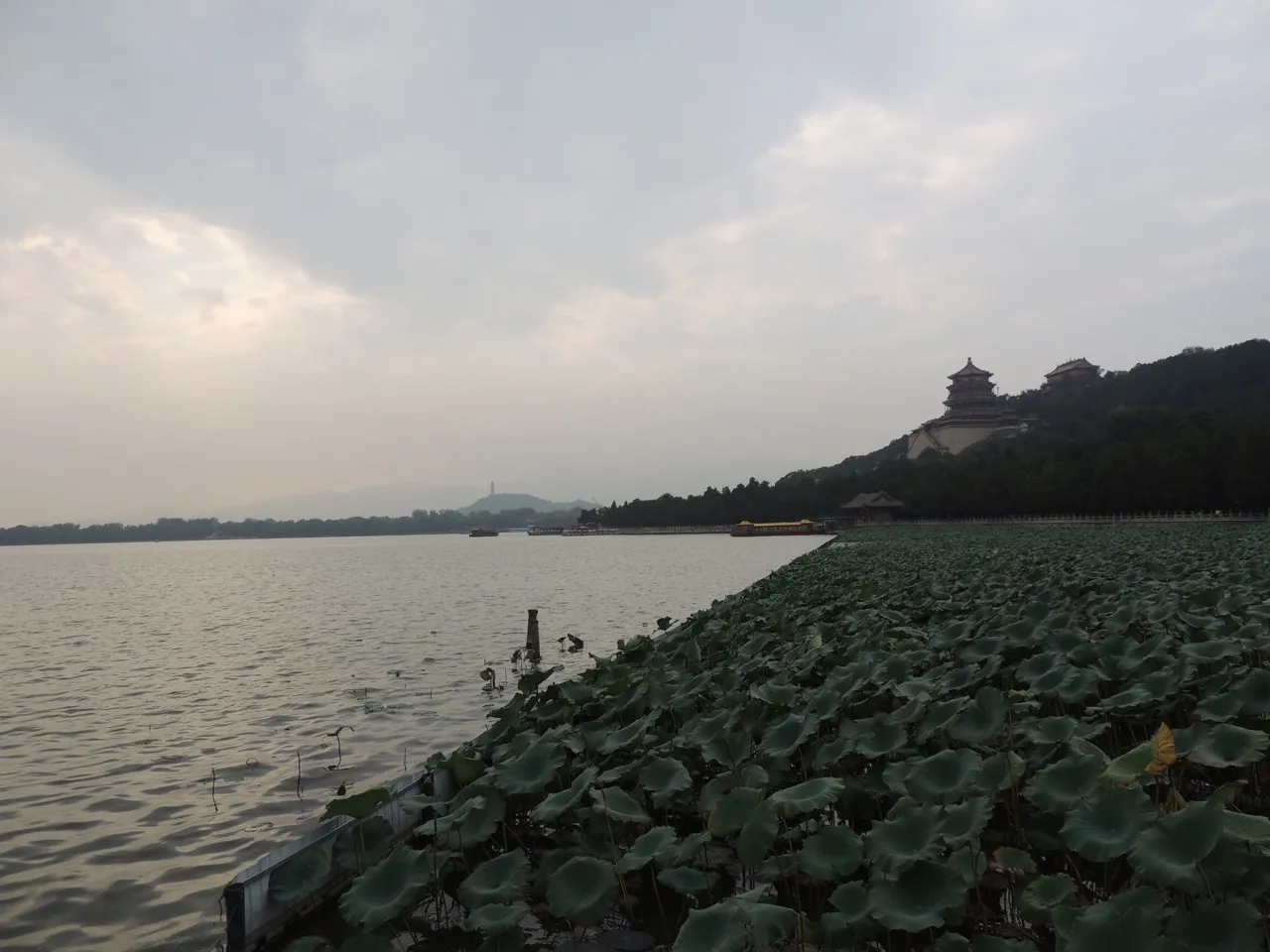 DSCN7734